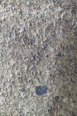Stone Texture