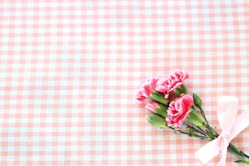 カーネーション