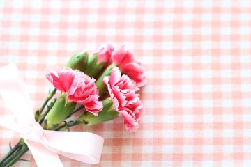 カーネーション