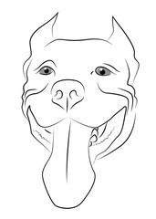 Pitbull Terrier Muzzle