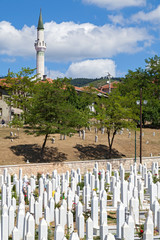 Kovaci cemetery