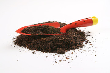 Cortex garden © 7monarda