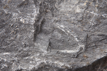 rock background