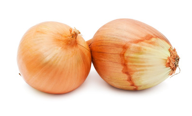 Onion