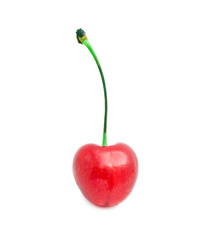 Red cherry