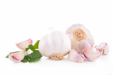 garlic bulb isolated
