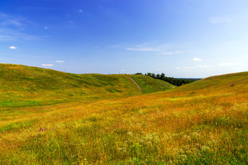 road in green hills