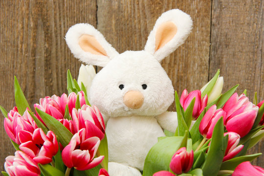 Osterhasi & Tulpen