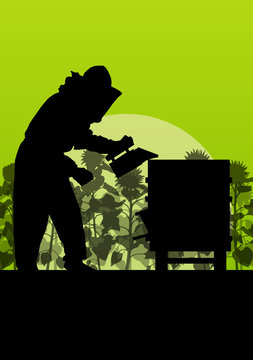 Beekeeper working in apiary vector background in sunflower field