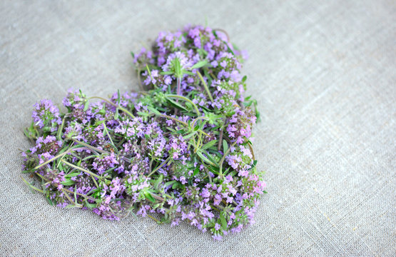 Heart from Thyme flowers on sackcloth