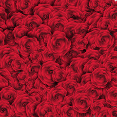 Valentine's Day Background with Roses