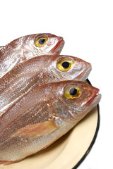 Fresh fish, red snapper