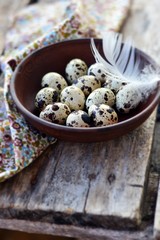 quail eggs