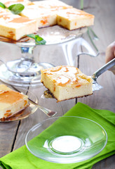 Squares of cheesecake