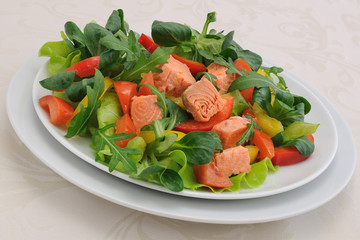 Vegetable salad with salmon