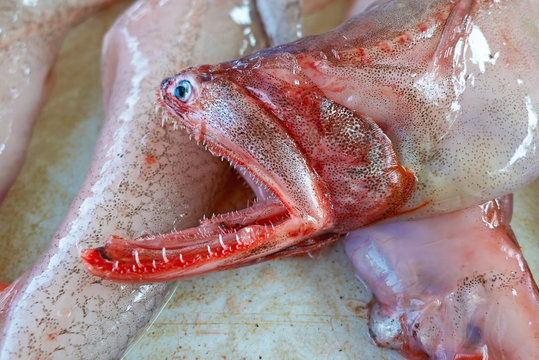 Fresh fish at the fish market counter. Siolim, Goa, India.