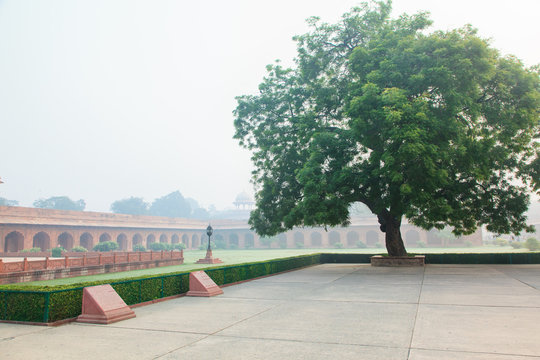 Charbagh Or Mughal Garden In Morning Mist