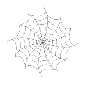 Vector Black Cobweb Isolated on White Background