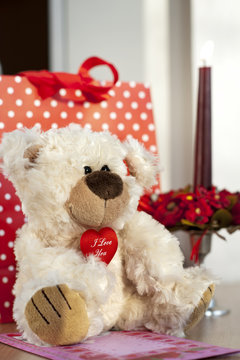 Teddy bear and gift bag