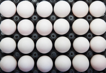 Duck eggs