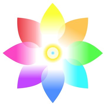 Rainbow flower isolated on white