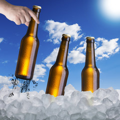 Hand Pick up Beer In Ice Cubes