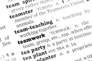 Teamwork Dictionary Definition