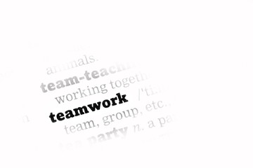 Teamwork Dictionary Definition