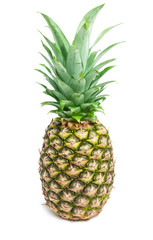 Fototapeta premium Pineapple