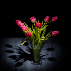 Fototapeta na wymiar Tulips on a blue gray wood table with black background