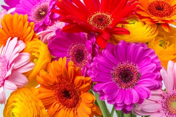 Foto op Plexiglas Gerbera lente bloemen