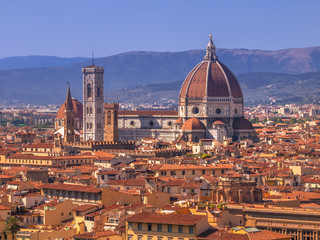 Fototapeta na wymiar Historic city of Florence