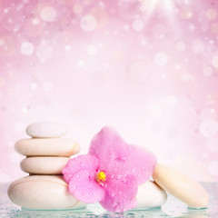 Fototapeta na wymiar White spa stones and flower on colorful background