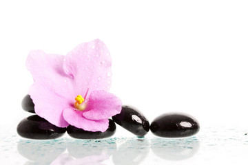Fototapeta na wymiar Black spa stones and flower on white
