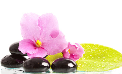 Black spa stones and flower on white