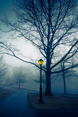 Dark foggy outdoor scene with lit streetlamp