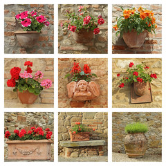 collection of ceramic poterry with flowers on antique wall - 60513005