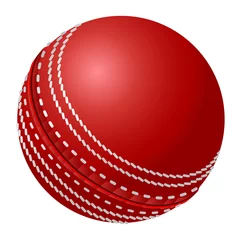 Abwaschbare Fototapete Ballsport Cricket Ball