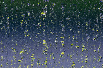green water drops on blue background