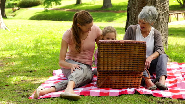 Three generations of women having a picnic