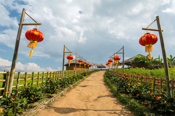 Fototapeta na wymiar Red Chinese lanterns along the rural road