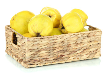 Sweet quinces in wicker basket isolated on white