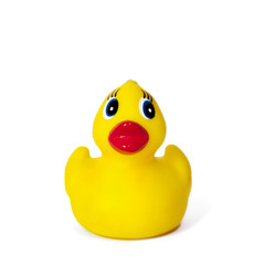 yellow rubber duck
