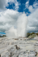Pohutu and Prince of Wales geysers