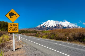 Papier Peint photo Lavable Nouvelle-Zélande Kiwi et mont Ruapehu