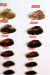 Hair samples of different colors on white background