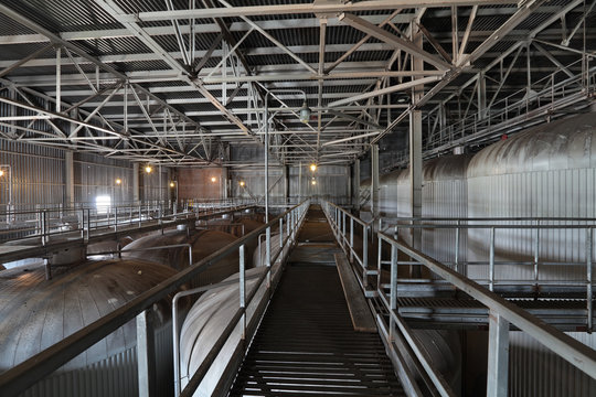 Fermentation department brewery, interior