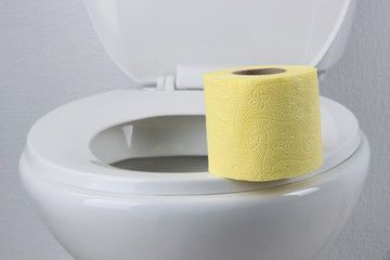 Toilet paper on a toilet, close-up