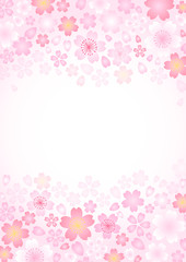 かわいいサクラ背景