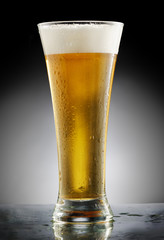 Glass of Beer